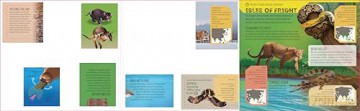 Lonely Planet Kids Deadly Animal Atlas - Lonely Planet [KSIĄŻKA]