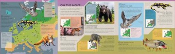 Lonely Planet Kids Deadly Animal Atlas - Lonely Planet [KSIĄŻKA]