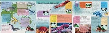 Lonely Planet Kids Deadly Animal Atlas - Lonely Planet [KSIĄŻKA]