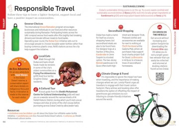 Lonely Planet Pocket Dubai (Pocket Guide) - Hayley Skirka [KSIĄŻKA]