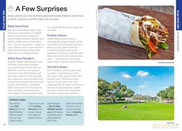 Lonely Planet Pocket Dubai (Pocket Guide) - Hayley Skirka [KSIĄŻKA]