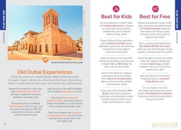 Lonely Planet Pocket Dubai (Pocket Guide) - Hayley Skirka [KSIĄŻKA]