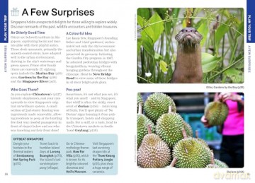 Lonely Planet Pocket Singapore (Pocket Guide) - Ria de Jong [KSIĄŻKA]