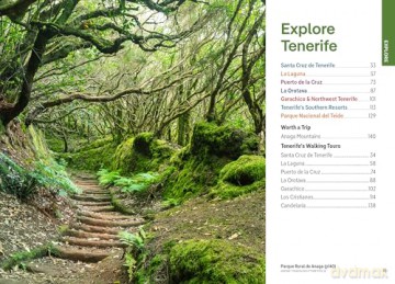 Lonely Planet Pocket Tenerife (Pocket Guide) - Isabella Noble [KSIĄŻKA]