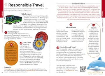 Lonely Planet Pocket Tenerife (Pocket Guide) - Isabella Noble [KSIĄŻKA]