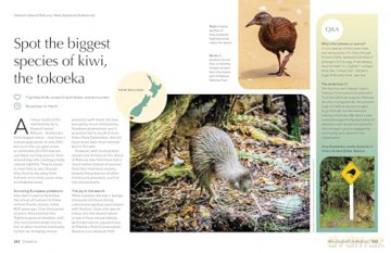 Lonely Planet The Joy of Birdwatching - Lonely Planet [KSIĄŻKA]