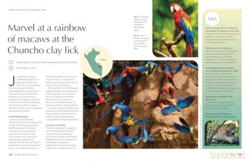Lonely Planet The Joy of Birdwatching - Lonely Planet [KSIĄŻKA]