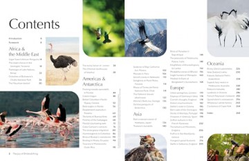 Lonely Planet The Joy of Birdwatching - Lonely Planet [KSIĄŻKA]