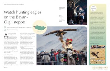 Lonely Planet The Joy of Birdwatching - Lonely Planet [KSIĄŻKA]