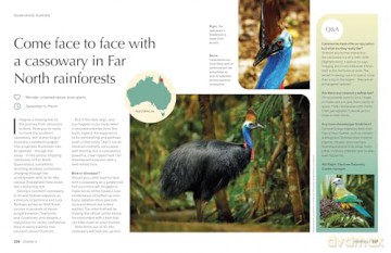 Lonely Planet The Joy of Birdwatching - Lonely Planet [KSIĄŻKA]