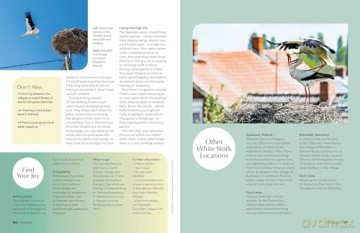 Lonely Planet The Joy of Birdwatching - Lonely Planet [KSIĄŻKA]