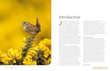Lonely Planet The Joy of Birdwatching - Lonely Planet [KSIĄŻKA]