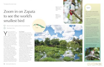 Lonely Planet The Joy of Birdwatching - Lonely Planet [KSIĄŻKA]
