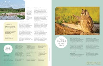 Lonely Planet The Joy of Birdwatching - Lonely Planet [KSIĄŻKA]