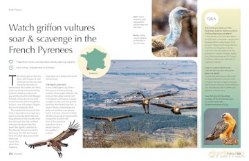 Lonely Planet The Joy of Birdwatching - Lonely Planet [KSIĄŻKA]