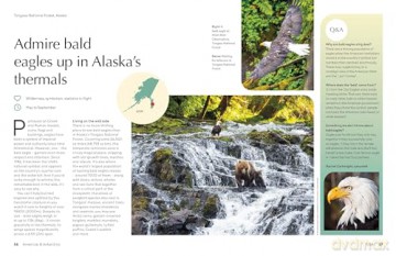 Lonely Planet The Joy of Birdwatching - Lonely Planet [KSIĄŻKA]