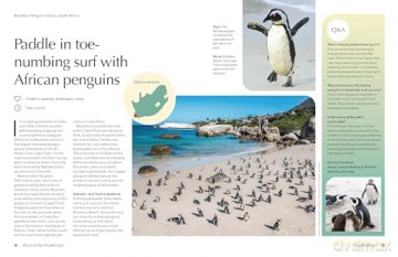 Lonely Planet The Joy of Birdwatching - Lonely Planet [KSIĄŻKA]
