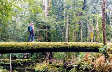 Lonely Planet The Joy of Quiet Places: 60 travel experiences to uplift and inspire - Lonely Planet [KSIĄŻKA]