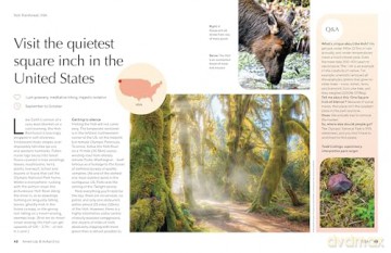 Lonely Planet The Joy of Quiet Places: 60 travel experiences to uplift and inspire - Lonely Planet [KSIĄŻKA]