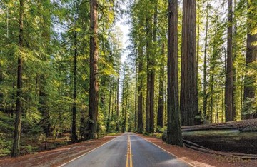 Lonely Planet The Joy of Quiet Places: 60 travel experiences to uplift and inspire - Lonely Planet [KSIĄŻKA]