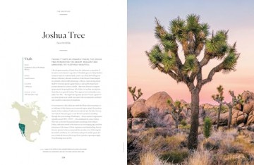 Lonely Planet The Tree Atlas - Lonely Planet [KSIĄŻKA]