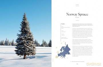Lonely Planet The Tree Atlas - Lonely Planet [KSIĄŻKA]