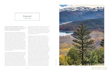 Lonely Planet The Tree Atlas - Lonely Planet [KSIĄŻKA]