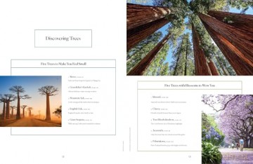 Lonely Planet The Tree Atlas - Lonely Planet [KSIĄŻKA]