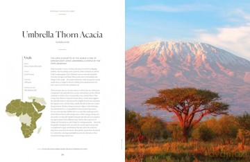Lonely Planet The Tree Atlas - Lonely Planet [KSIĄŻKA]