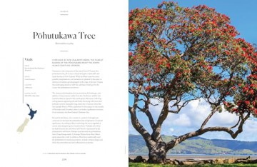 Lonely Planet The Tree Atlas - Lonely Planet [KSIĄŻKA]
