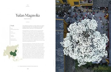 Lonely Planet The Tree Atlas - Lonely Planet [KSIĄŻKA]
