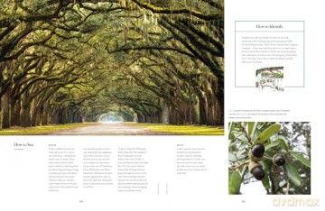 Lonely Planet The Tree Atlas - Lonely Planet [KSIĄŻKA]