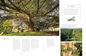 Lonely Planet The Tree Atlas - Lonely Planet [KSIĄŻKA]