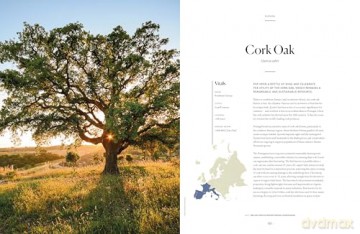 Lonely Planet The Tree Atlas - Lonely Planet [KSIĄŻKA]