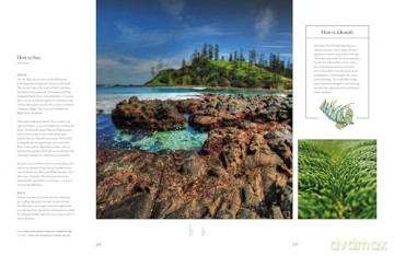 Lonely Planet The Tree Atlas - Lonely Planet [KSIĄŻKA]