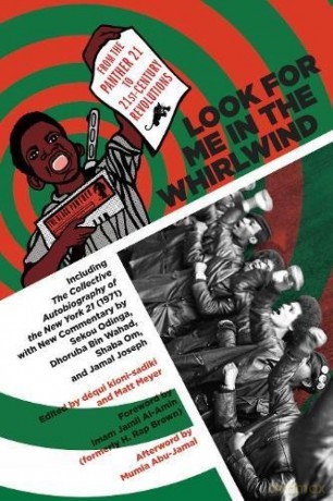 Look For Me In The Whirlwind From The Panther 21 To 21St-Century Revolutions - Matt Meyer [KSIĄŻKA]