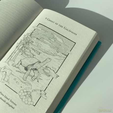 Lost Wonders: 10 Tales of Extinction from the 21st Century - Tom Lathan [KSIĄŻKA]