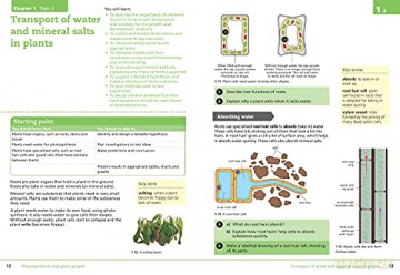 Lower Secondary Science Student's Book: Stage 9 (Collins Cambridge Lower Secondary Science) - Mark Levesley [KSIĄŻKA]