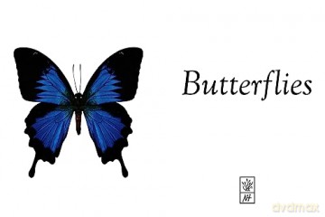Luxe Nature - Butterflies: Luxe Nature [KSIĄŻKA]