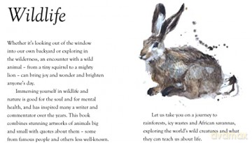 Luxe Nature - Wildlife: Luxe Nature [KSIĄŻKA]