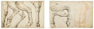 Maarten van Heemskerck: The Roman Sketchbook - Tatjana Bartsch [KSIĄŻKA]