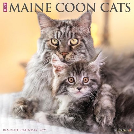 Maine Coon Cats 2025 Wall [KSIĄŻKA]