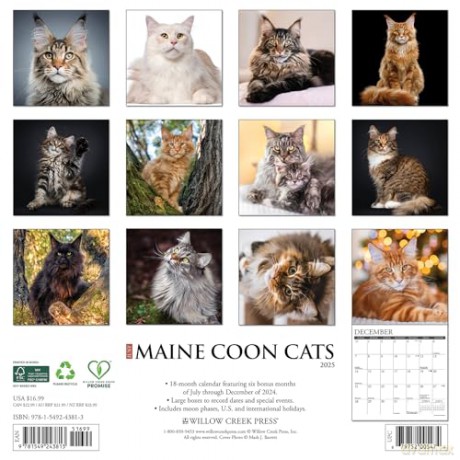 Maine Coon Cats 2025 Wall [KSIĄŻKA]