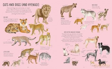 Mammals (A Whole World of...) - Anna Claybourne [KSIĄŻKA]