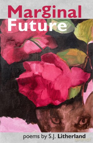 Marginal Future - S.J. Litherland [KSIĄŻKA]