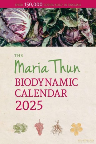 Maria Thun Biodynamic Calendar: 2025 - Titia Thun [KSIĄŻKA]