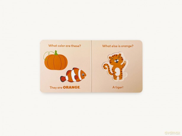 Match and Learn: Colors: A Pop-Out Shapes Book [KSIĄŻKA]