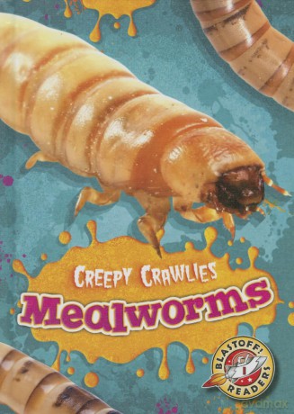 Mealworms (Creepy Crawlies) - Kari Schuetz [KSIĄŻKA]