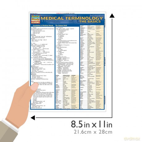 Medical Terminology:The Basics (Quick Study Academic) - Corinne Linton [KSIĄŻKA]