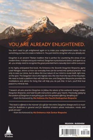Meditation for Modern Madness - Dzogchen Rinpoche [KSIĄŻKA]